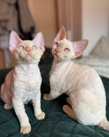 2 Boys Left ♥️
